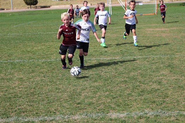 对手状态 对手状态