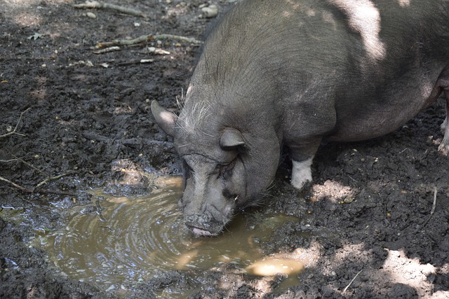 更是一次重 更是一次重