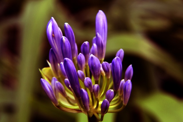 通过团队努 通过团队努