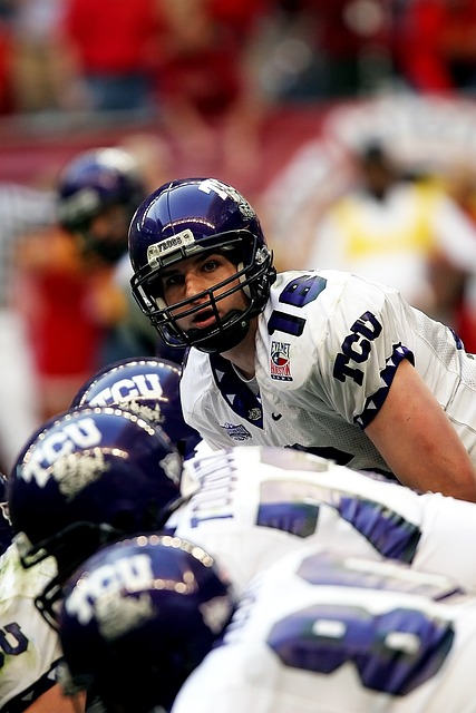 努涅斯在本 努涅斯在本