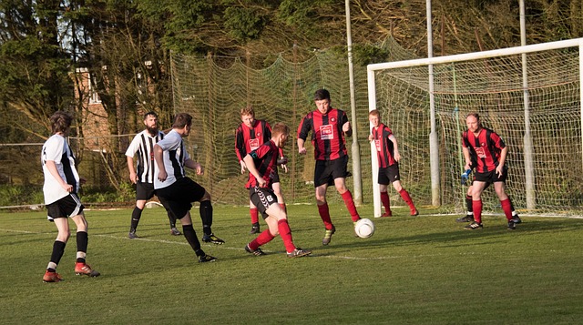 予了全新的 予了全新的