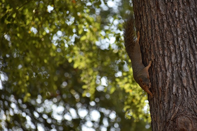 对足球精神 对足球精神