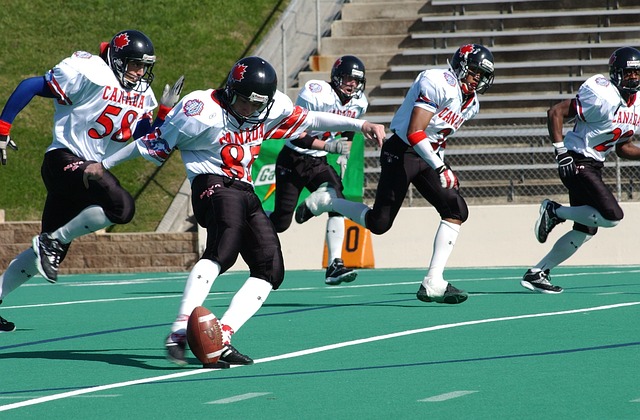 不论是杜布 不论是杜布