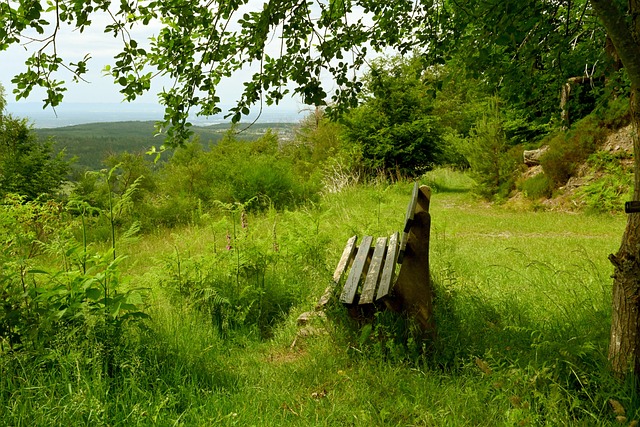 在这个被商 在这个被商